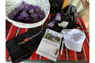  PROMOVAREA DEZVOLTĂRII LOCALE PRIN INTERMEDIUL TURISMULUI SUSTENABIL