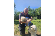 Cățelul Bobiță a fost salvat de către pompieri. Căzuse într-o fântână adâncă de 10 metri