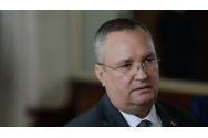 Corpul de control al lui Ciucă știa de azilele groazei încă din februarie. Procurorii din Buftea, informați pe 8 martie