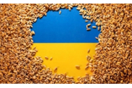 Acordul cerealelor: Erdogan anunță decizia lui Putin
