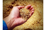 Acordul privind cerealele va înceta pe 18 iulie