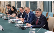 Marcel Ciolacu îl distruge pe Talpan: Trebuie să avem bun simț! N-ai nicio perfomanță și te bagi la sport