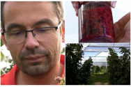 Afacerea bio care l-a îmbogățit pe un român din Bihor: „Clienţii nu cred, de multe ori că sunt produse în România”