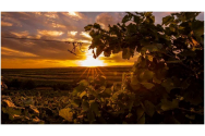 Locul din România care seamănă perfect cu Toscana. Puțină lume ştie de el, deşi toamna e un adevărat Paradis. 