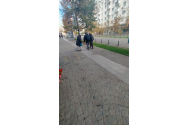 Poliţia Locală a aplicat zeci de amenzi milogilor veniţi în Iaşi