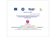  UAT MUNICIPIUL DOROHOI  anunță finalizarea proiectului „Realizarea unei zone de agrement în Municipiul Dorohoi prin reutilizarea terenului din zona POLONIC”