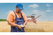 Salariul minim brut în construcţii, 4.582 lei, cel din industria alimentară şi domeniul agricol, 3.436
