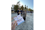In Iaşi ar putea apărea voluntarii civici