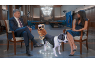 Croitoreasa PSD a făcut interviu cu primul covrigar al țării: O ședință de auto-lăudare și manipulare