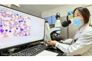 Cancerul pancreatic, depistat precoce cu ajutorul Inteligenței Artificiale