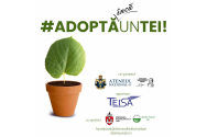 Ateneul Național din Iași organizează a 3-a ediție a campaniei „ADOPTĂ UN TEI”