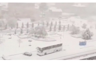 Autorităţile germane îndeamnă populaţia să rămână acasă, pe fondul unor condiţii meteorologice letale