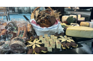 Soluții pentru risipa alimentară, gândite de studenții agronomi ieșeni