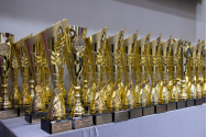 64 dintre cele 22.000 de firme ieșene active, premiate