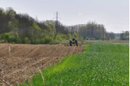 APIA a efectuat plăţi de peste 487 milioane de euro pentru 91% dintre fermierii eligibili, în decembrie