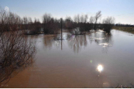 Cod galben de viituri în șapte judeţe din vest și nord-vest, până vineri la prânz