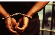 Cruzime fără margini! Un bărbat din Suceava și-a decapitat pisica cu un cuțit / Polițiștii l-au reținut