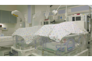 Rata natalității a scăzut în mod alarmant, anul trecut