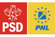 PNL îl contrează dur pe Dîncu: 'Parcă l-am auzit revenind pe Liviu Dragnea. Nu mai ţine guvernarea cu fake-news-ul la purtător'