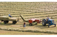 Fermierii vor împărți peste 438 de milioane de lei din bugetul statului