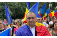 Cristian Terheș: Se taie enorm de multă pădure în mod ilegal în România