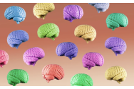 O călătorie în Universul neurodiversității