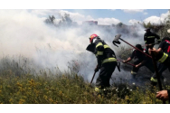 Un bărbat din Dancu a ars pe rug câinele din curte