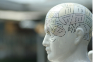  Frenologia, de la pseudoștiință la lecții de umanitate și progresul neuroștiințelor