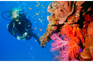 Scuba diving și descoperirea ultimei frontiere pământene