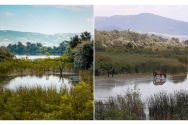 Singura insulă locuită din România este un adevărat colț de Rai. Cum ajung riveranii la propriile lor case
