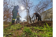 DRDP demarează operațiunea „lămâița”