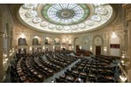 Dezbaterea la Senat pe taxa de boală s-a lăsat cu scandal: 'Îi aruncam o mănușă în bot și îl provocam la duel'