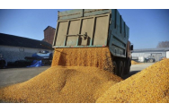 Un român a construit cel mai mare terminal de transbordare a cerealelor din Europa. Se află la Dornești, la granița cu Ucraina