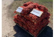 Ceapa din Ucraina a invadat piețele din România