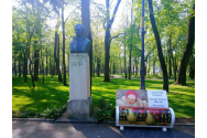 Operele de artă ale marilor pictori români, pe băncile din Grădina Copou!