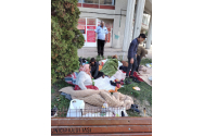 „Locuinţă” amenajată pe domeniul public al municipiului Iaşi!