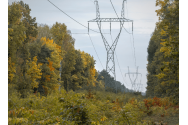 1.200 hectare de „coridoare ecologice ”, în Moldova