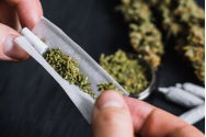Opt ani de procese pentru câteva grame de cannabis şi condamnări cu suspendare
