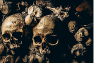 Descoperirea terifiantă făcută de arheologi în casa lui Hermann Goring, prietenul lui Adolf Hitler: „Am fost complet șocați“