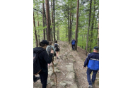 Urșii își fac de cap la Slănic Moldova
