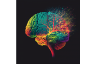 Persoanele neurodivergente, diversitatea care îmbogățește comunitatea