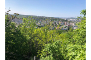  Asociaţia Agent Green a pierdut, definitiv, lupta cu Romsilva Iași!