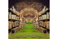 Biblioteca Akasha, misterul universal al cunoașterii