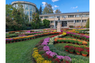 Se deschide cea mai așteptată expoziție din Grădina Botanică --„Flori de Toamnă”