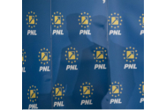 Primar PNL refuză schimbarea lui Gheorghe Flutur
