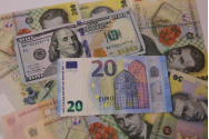 Bugetul de stat a fost construit pe un curs de 5,01 lei/euro