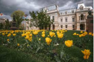 Boom-ul IT și orașul vechi. Iașul la răscruce: între cod și piatră