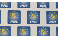 PNL vede susținerea Elenei Lasconi pentru Bolojan la prezidențiale 'un cadou otrăvit'. Replica dată: USR poată 'să pună umărul la guvernare'