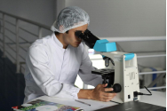 Chonluten Peptide: A Compound for Research Across Chemical Domains