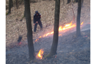 Incendiile din Caraş-Severin, stinse de o aeronavă C-27 J Spartan a Forţelor Aeriene Române